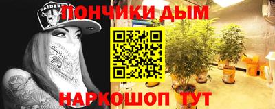 молекула духа Гагарин