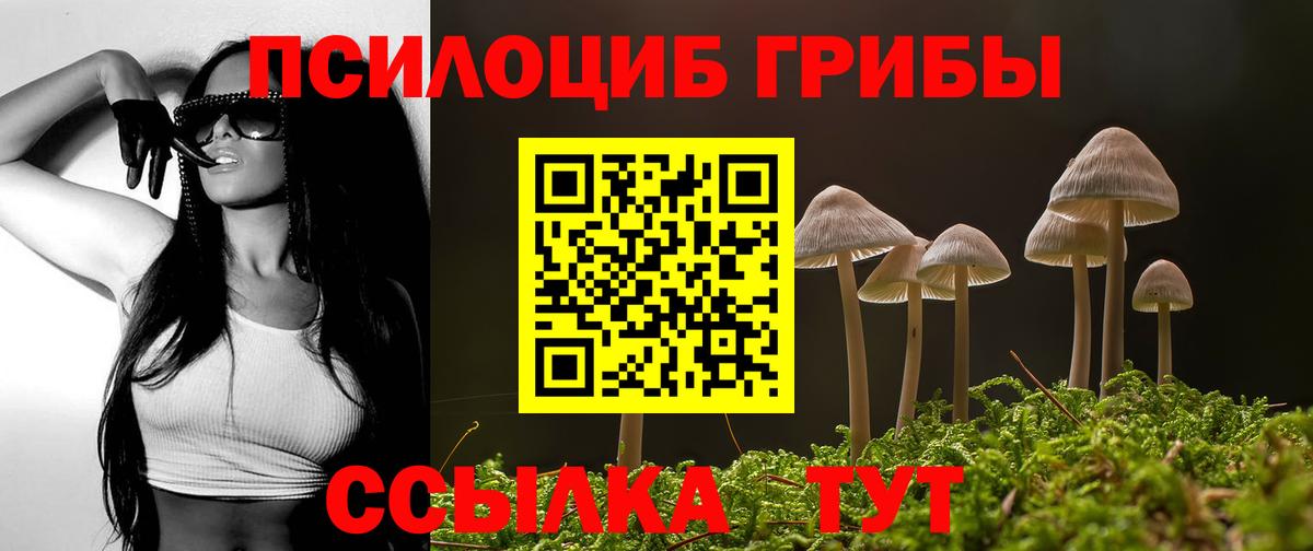 Галлюциногенные грибы мицелий Новосибирск