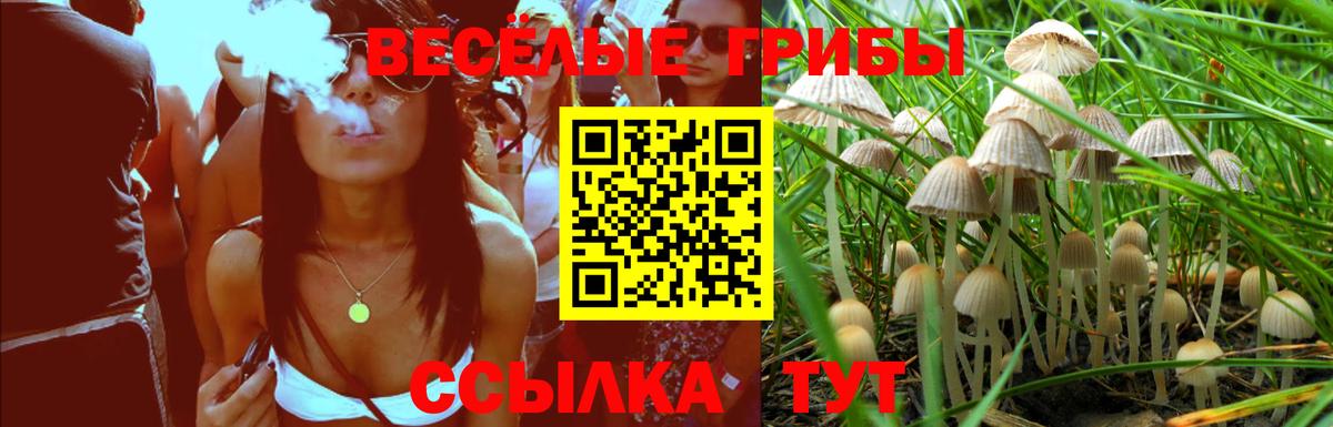 Псилоцибиновые грибы MAGIC MUSHROOMS  магазин продажи   Новосибирск  Псилоцибиновые грибы прущие грибы  Вход с VPN 